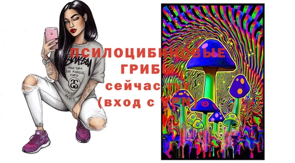2c-b Алексеевка